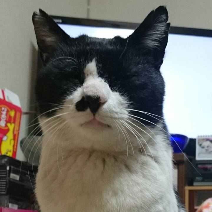 647d74c2 8cb9 4350 93fb f444ac6dc050 1515243585822