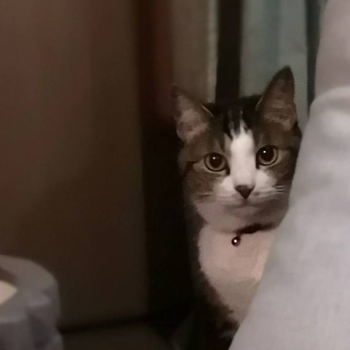 647d808c 9292 458f 8d5b 19e30f95f73d 1629678871923