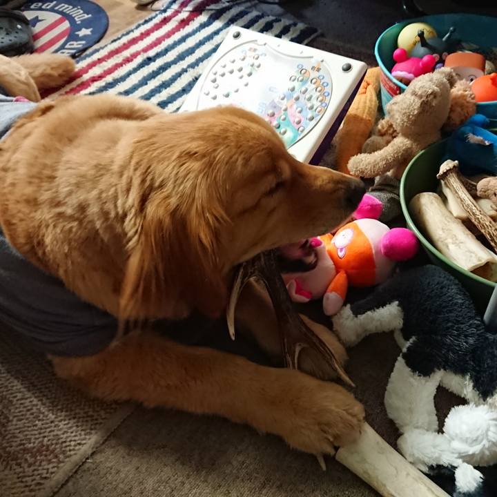 647da240 d2da 481a 83e4 05c2d559c29e 1584360874039