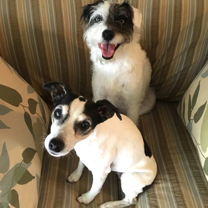 647dc386 f312 4087 a0fb d63193c965fa 1536876589856