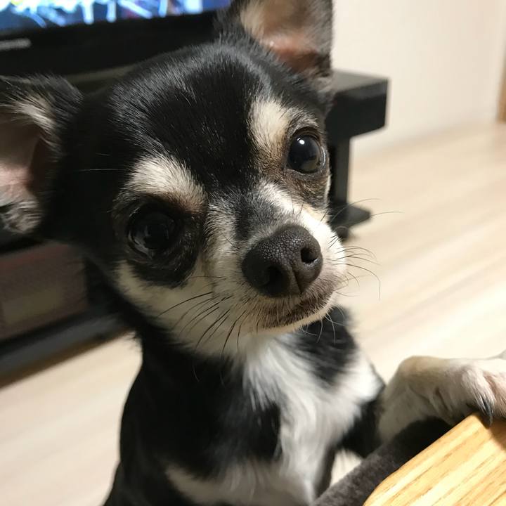 647dcf76 891b 4f42 bcd3 edbc6c40c679 1517909446278