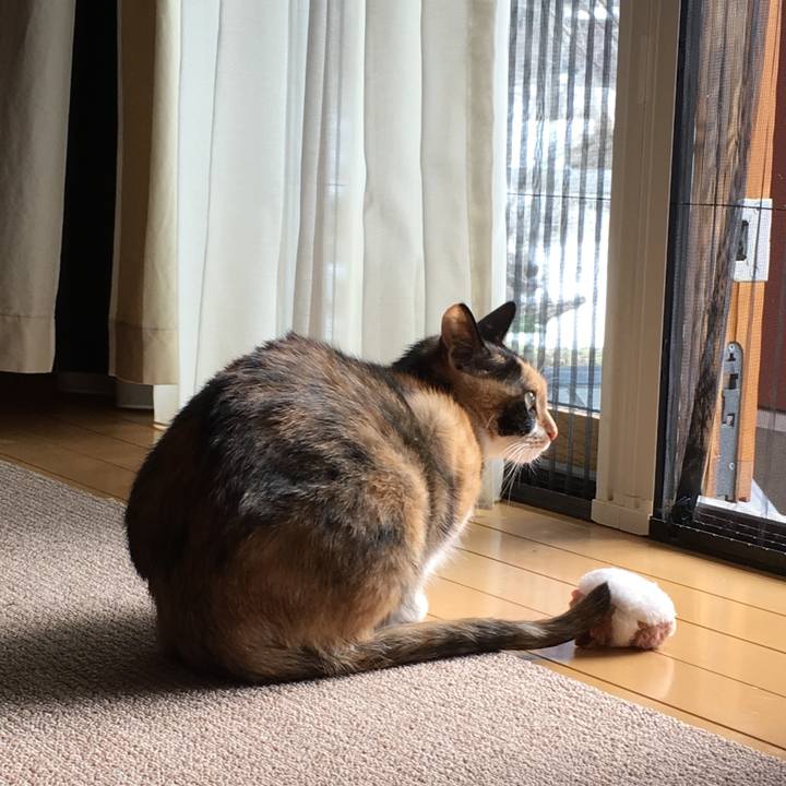 647dd2bd f930 402b 809a 43020c2f8216 1519435166313