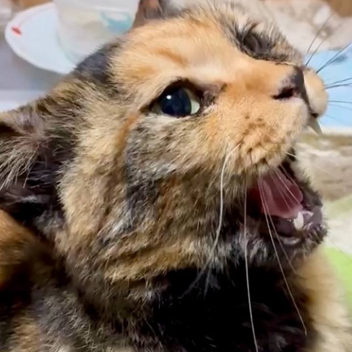 647dee72 bd4b 45a9 8f26 42eee80f933a 1755658048054