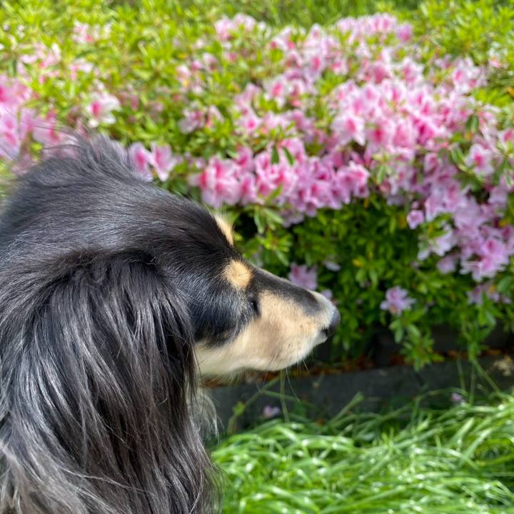 647deed8 6f2e 4835 bdcd 615a6d88ffd8 1745975601853