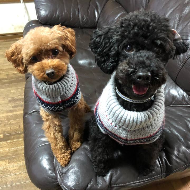 647e136c 426a 4903 8157 f13086157005 1543790343905