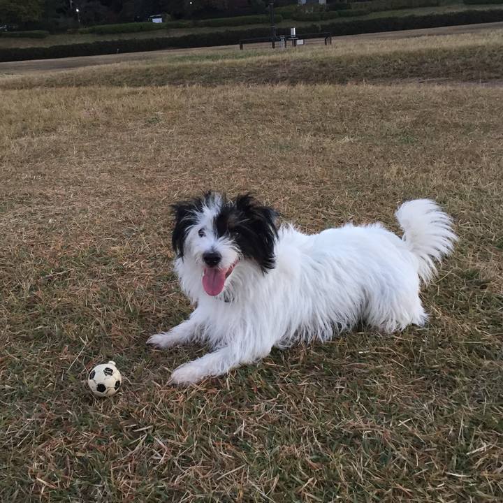 647e2a84 1695 4a8c 8894 95fd46f430ae 1510178218820