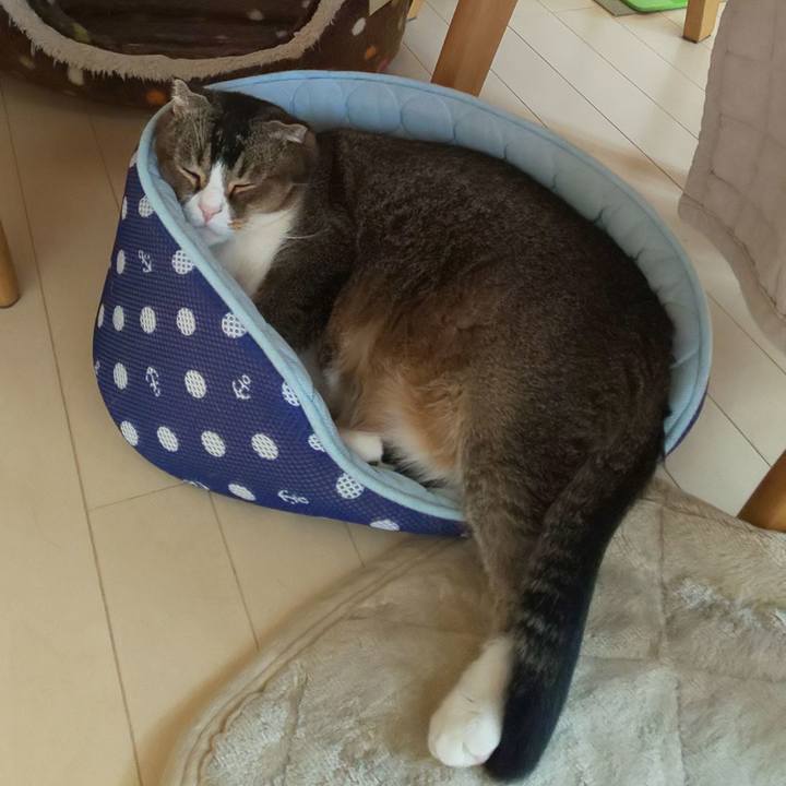 647e572f 5bef 4989 8e10 1a7047e4a287 1573267801381