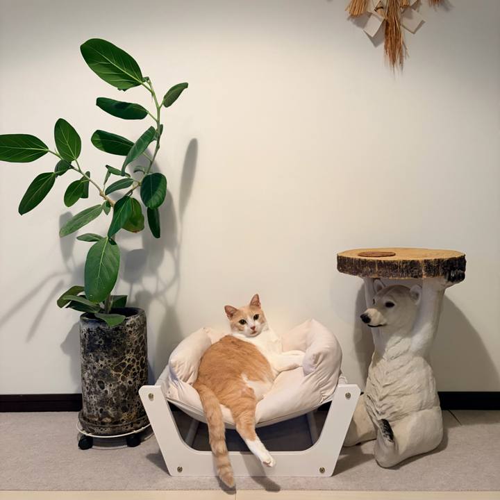 647e67ed ae21 43cf aaec 085c595da5e0 1760869837249