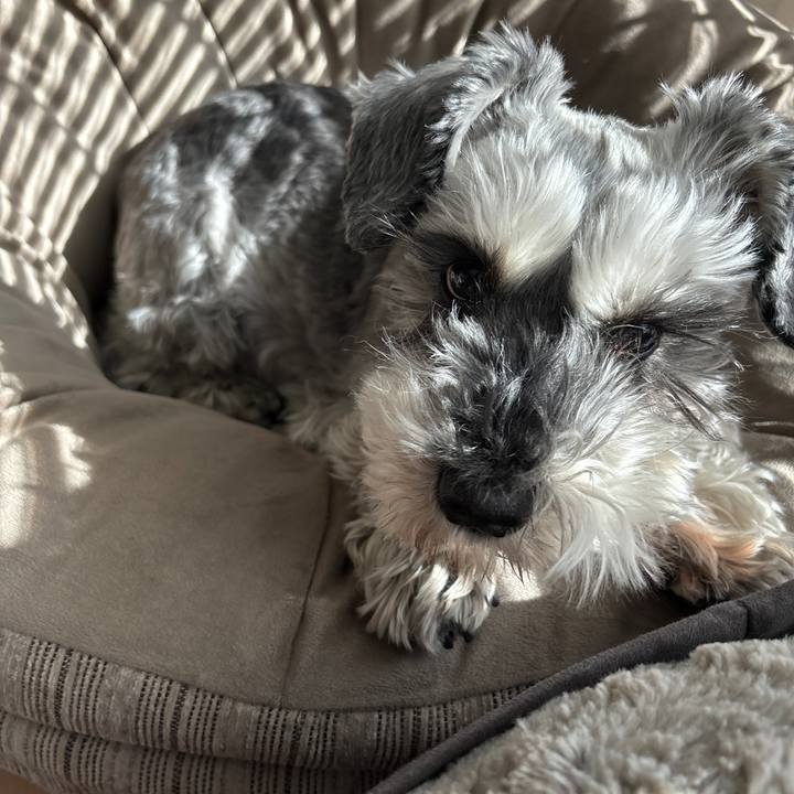 647e7ce0 5a29 4f54 8dbc d313e3dd8634 1705029122052