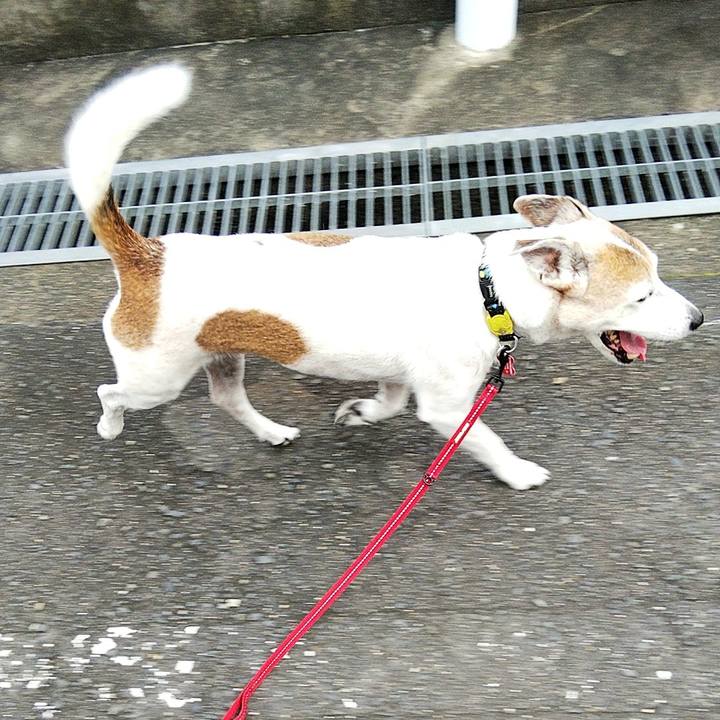 647ea3e0 16d2 4bdc 8b01 bb49b141b75c 1597182727331