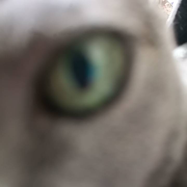 647ea50e 85e6 45c3 add2 c1356fcf454c 1586563883029