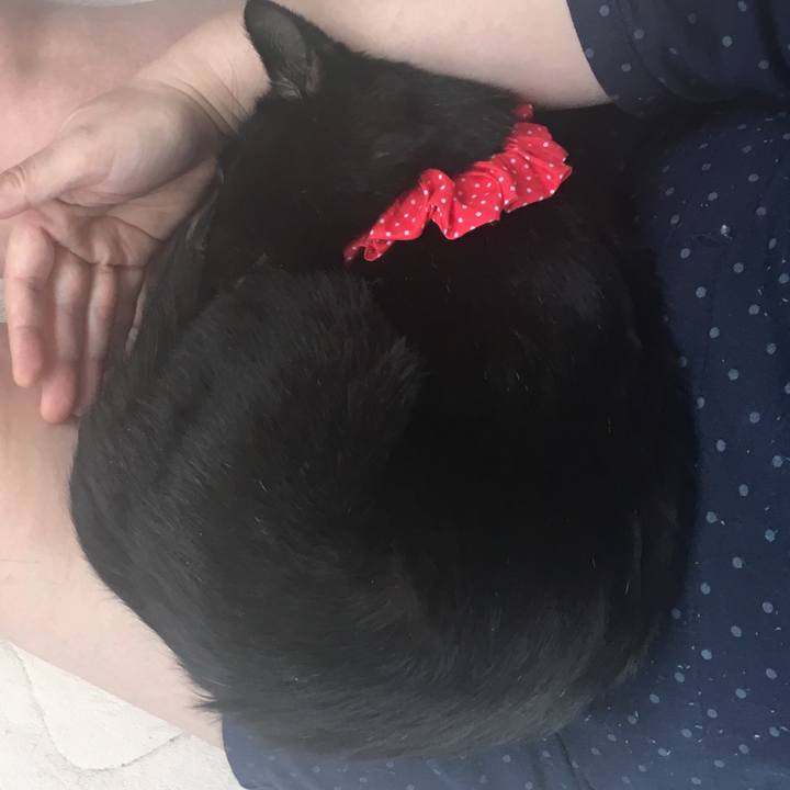 647eace9 c4ee 4a4e bf97 bb4197d015e9 1550369289476