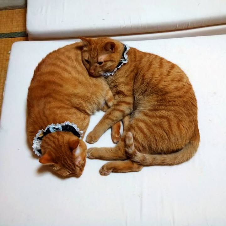 647ec343 e777 43c0 b660 2ef5e78de0aa 1599002838138