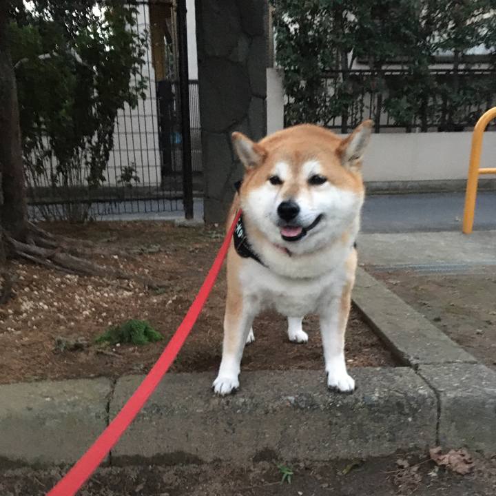 647ecf4f 9c90 4ede b668 a39bba95f21a 1602580326598