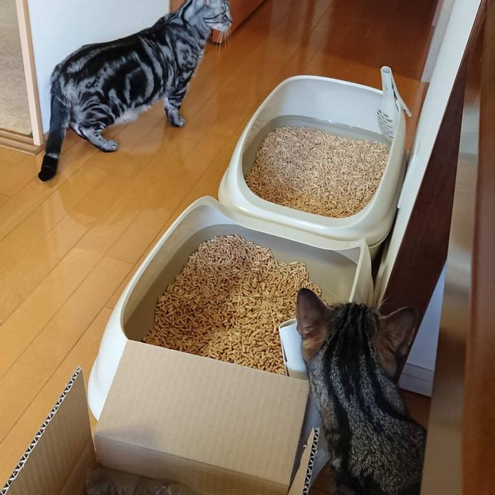 647f0551 0db1 4f53 96b9 5e007d94e8df 1550529698788