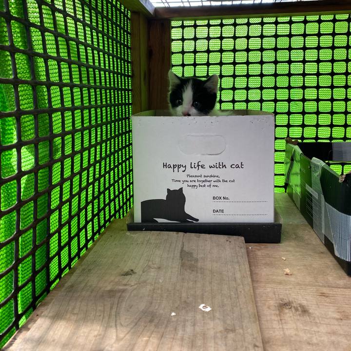 647f0bd3 d855 42ba bf21 730a085fa51d 1652489384275