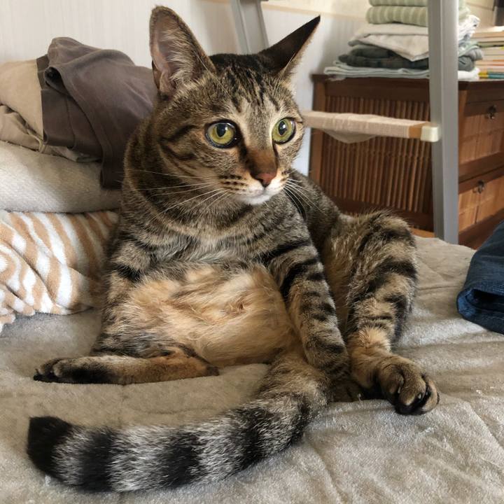 647f6d43 c230 41ff a81b 8eae1c219fc3 1621266429692