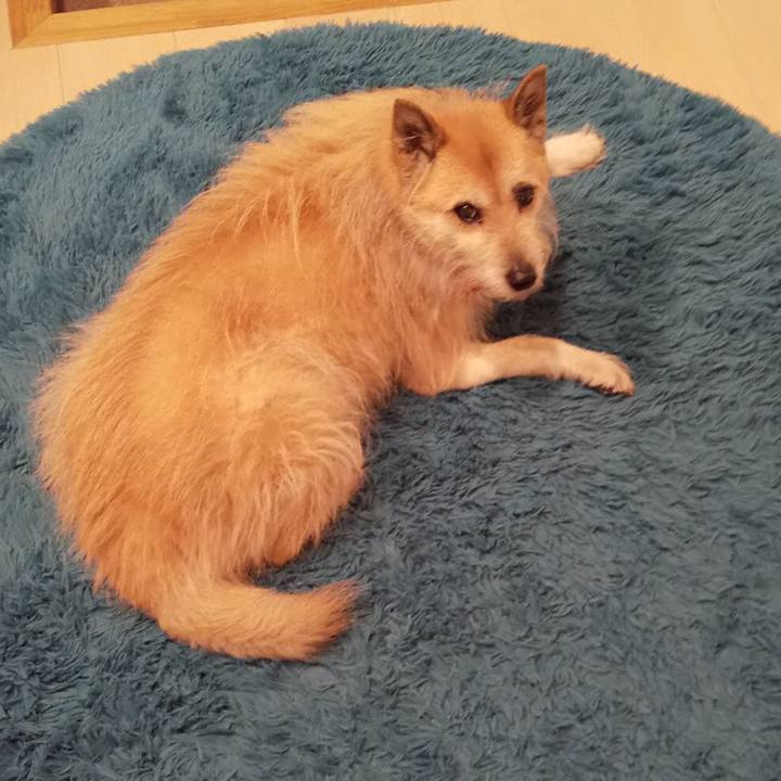 647f8d98 e143 46f2 acf0 84fd5e1afdff 1551837978092