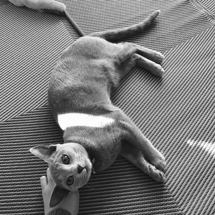 647fbb85 0779 4d78 b4e8 67d3365df71b 1516227145261