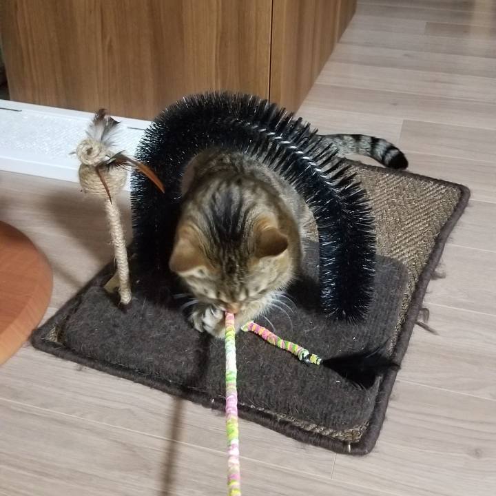 647fc6ae 1b90 4712 9345 e7b1d3bcc917 1553256282439