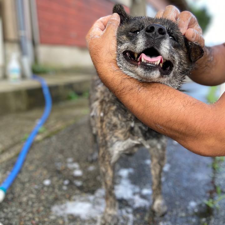 647fcb11 eb77 447a 8470 061f93b0fc25 1597012500603