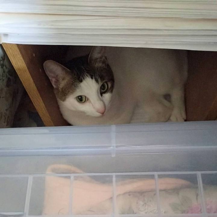 647fd6cd 2a5a 48e1 8609 2f468871faf1 1725500126204