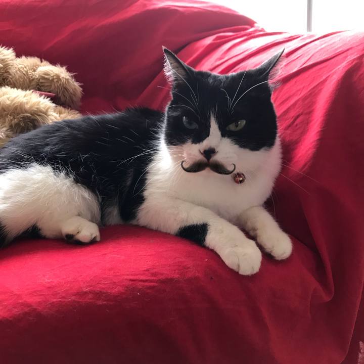 6480203f 3fce 4657 b7e4 8ccad9023ed4 1564225834040