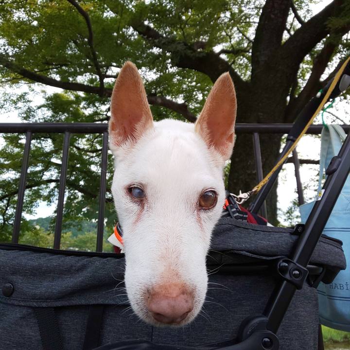 64806207 56be 4d7d 96d8 781ee618eee7 1569111934847