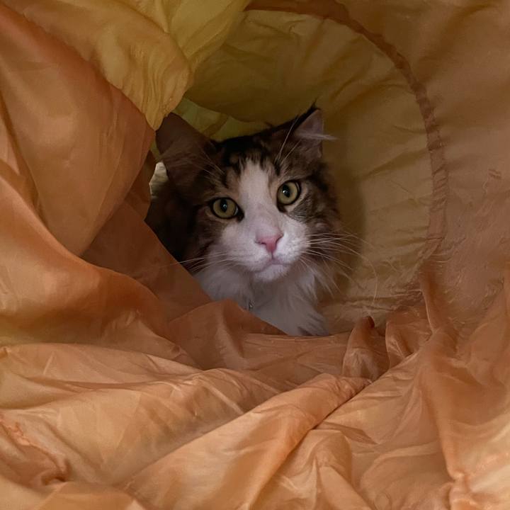 64806970 870b 4ed4 9b3c 45f8c3a6cdb2 1654903824892