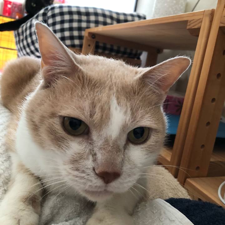 64806ebc e529 4a3d 86b8 e4d5f710943e 1527901123021