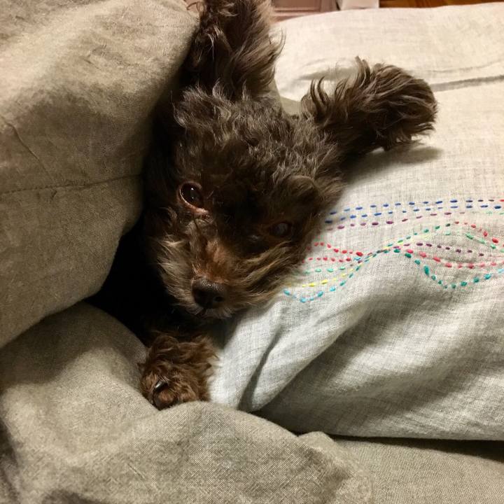 648096fd 8cdf 4987 a4b5 2d1ab77a238d 1512566924081