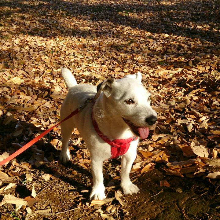 64809a0d 1c0d 4905 aceb e16d399b9a10 1513035444405