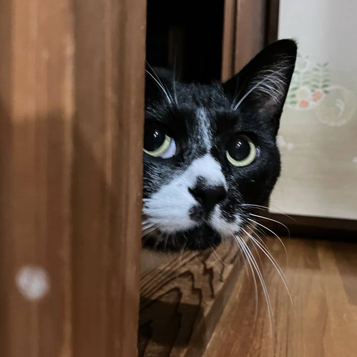 6480b200 be15 48b1 b123 ac638f1b2c69 1666582484177