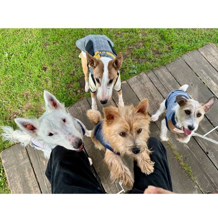 6480e2c2 0259 48de ab44 d23086bbbf65 1761401875496