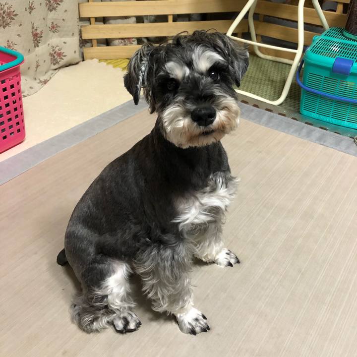 6480e9ac 19f6 47ab b6dd b6ea8c81a8d3 1632139051646