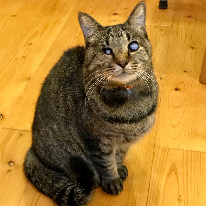 64811069 77ab 4ce8 8366 3fac17caa1e7 1543051968606