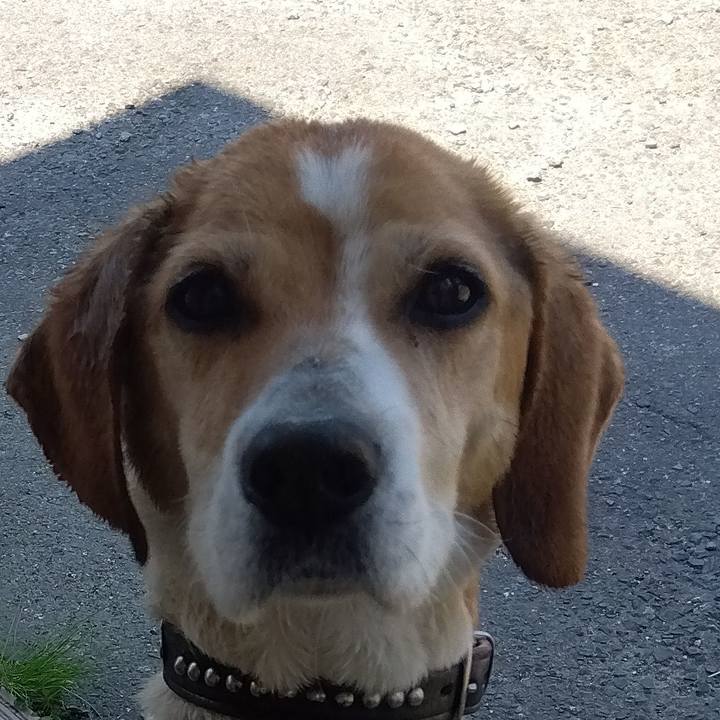 648112ce 9d89 4645 883a 79d189b0555f 1683796612137