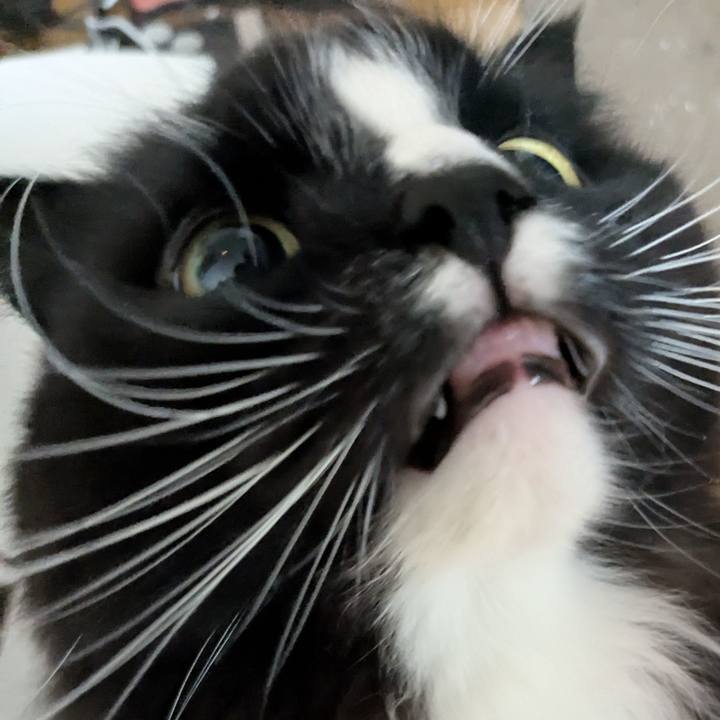 648124ab d207 4e5d ae54 f240bf11ef79 1738452530410