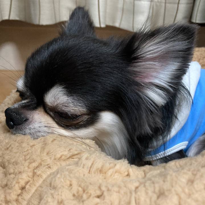 648129d6 4a10 4356 bdab 0e07ccb1ed2c 1652624217591