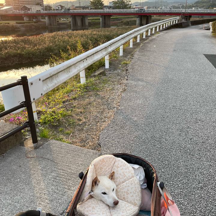 6481384f b3c7 4b7f b979 f97bf9272547 1668680017799