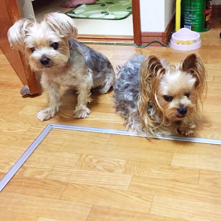 6481771b 2999 446c 8c33 848f06191c90 1535368005549