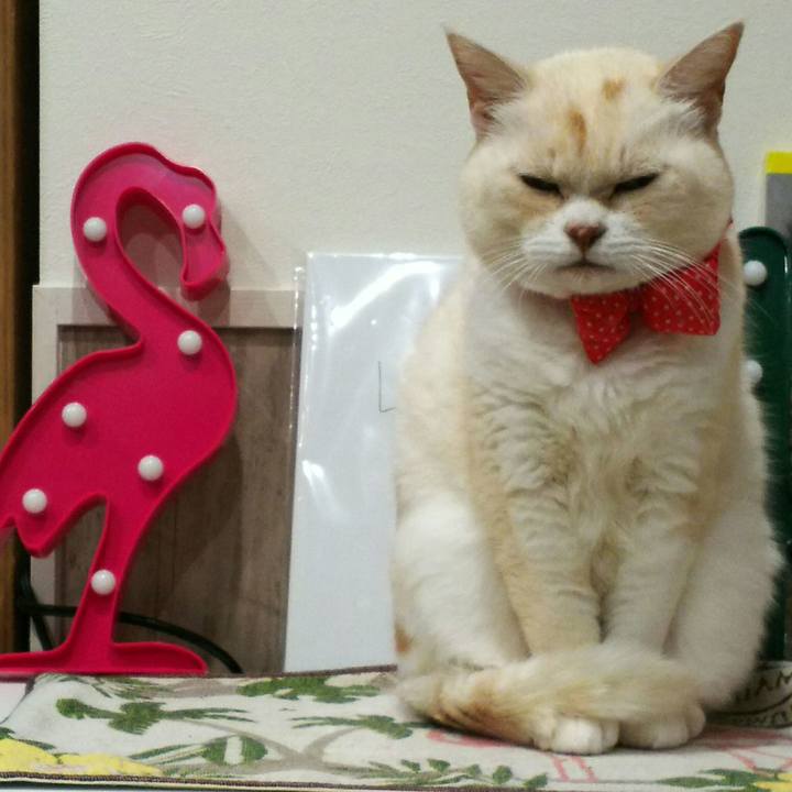 64818827 5e07 4401 ac1b b140f9ac6883 1572358815766