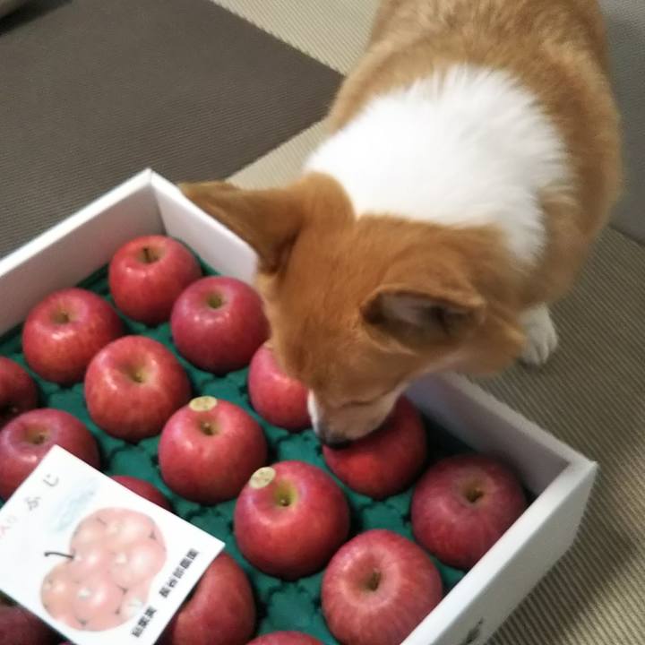 6481a9e0 af8d 4fc2 95d3 ea3f1f5beefc 1545188463653