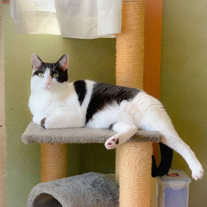 6481db03 470c 4971 95f3 916f1835af4c 1559785019893