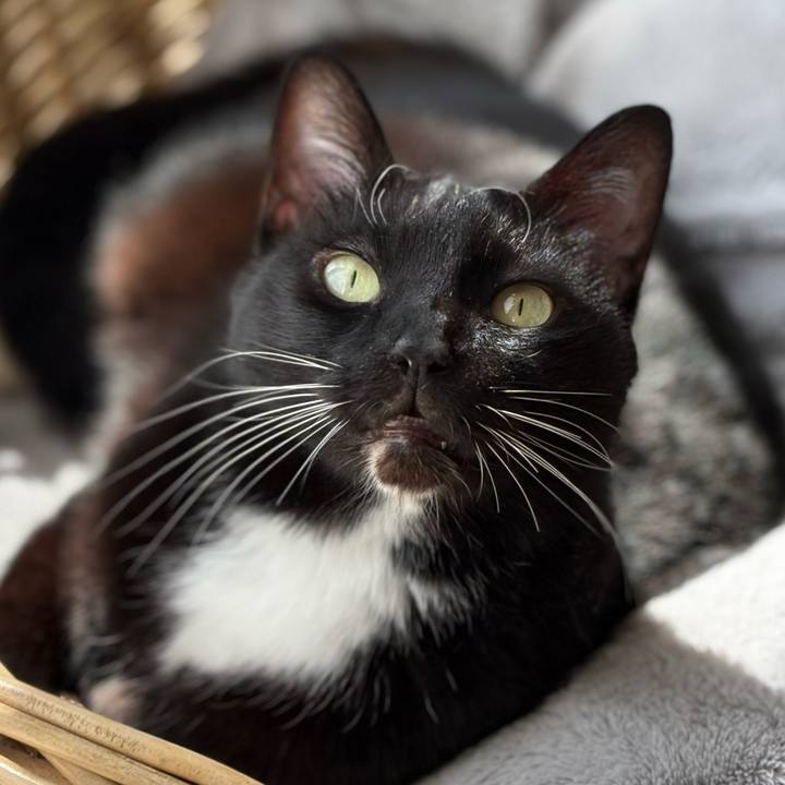 6481e050 c916 49ea baec 33f4901d5a70 1775194059542