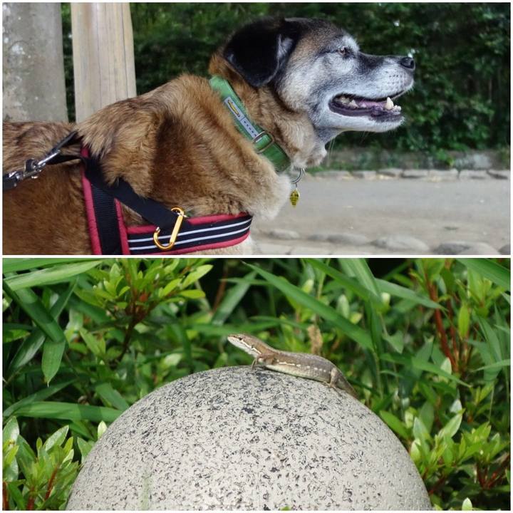 64820230 73a1 4ed2 bbe9 beee3c8f254d 1558228225952