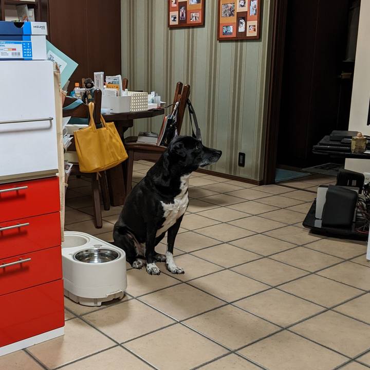 6482029f 6327 4b1d b78c c9fe7b47ef10 1681554901995