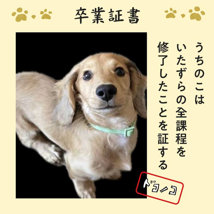 64821af2 c5e4 43d4 b285 617fece2b60d 1772001844978