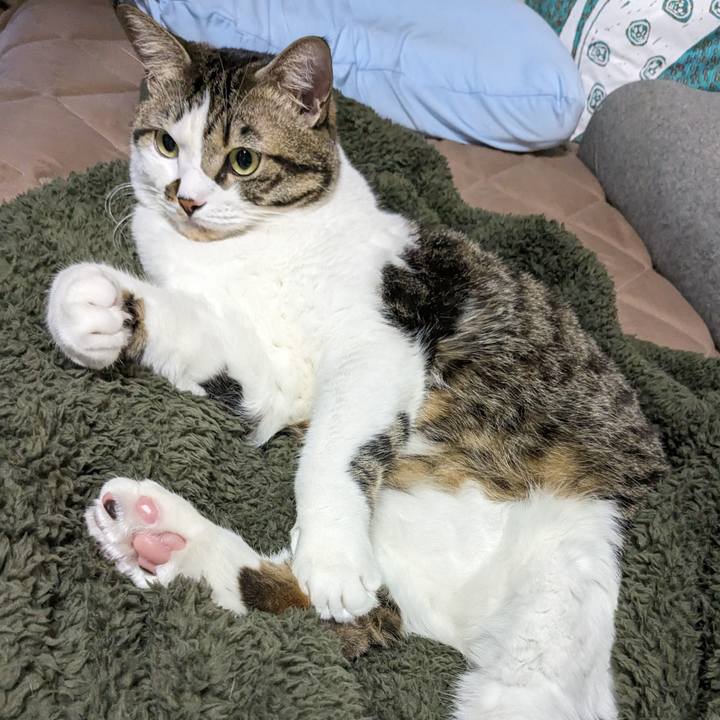 64825755 abaa 4d36 9089 82531d582a3d 1697336441154