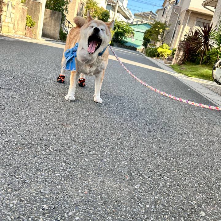 64827173 9f7a 43d0 aae8 69c6315eda1a 1753742830307